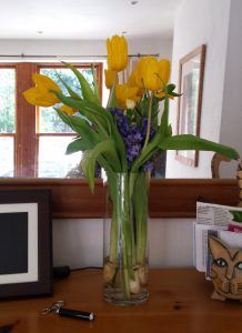 20150330_135205 flowers from Janice 270315 cropped